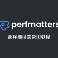 Perfmatters设置使用教程